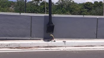 Imagem: Divulgação