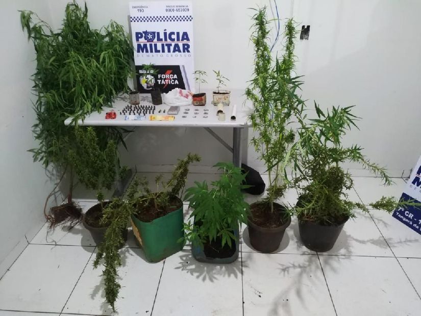 Foto: divulgação PM/MT