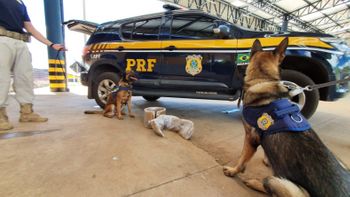 Foto: divulgação PRF/MT