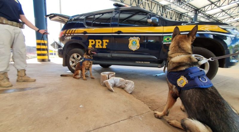 Foto: divulgação PRF/MT