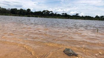 Especialistas estimam nascimento de 250 mil tartarugas na praia das gaivotas. (Foto: Juliana Carvalho)