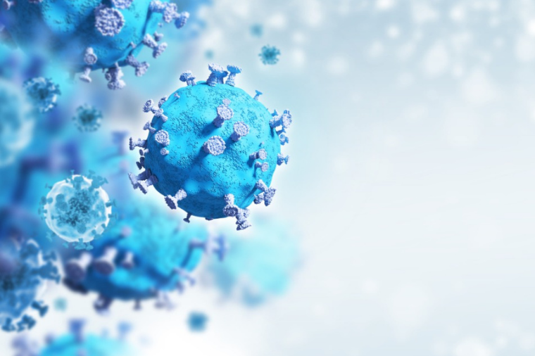 Imagem: Divulgação