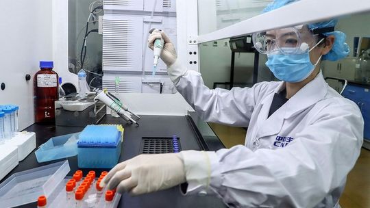 Imagem: Reprodução / Zhang Yuwei/Xinhua via AP