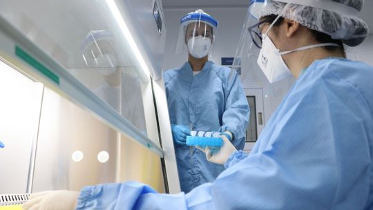 Foto: Peter Ilicciev/Fiocruz