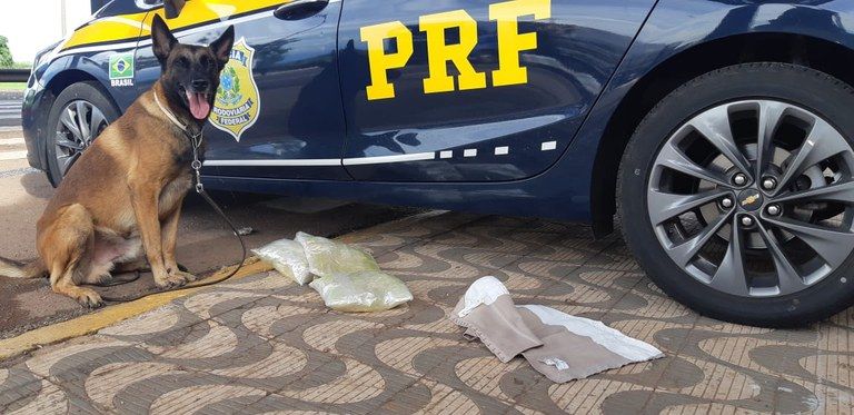 Foto: divulgação PRF/MT