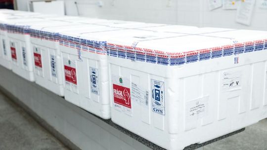 Chegada da vacina Coronavac em Cuiabá. (Foto: Tchélo Figueiredo/Secom-MT)