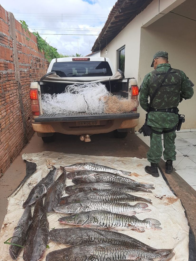 Foto: divulgação PM/MT