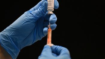 Imagem: Reprodução / Ben Stansall/AFP