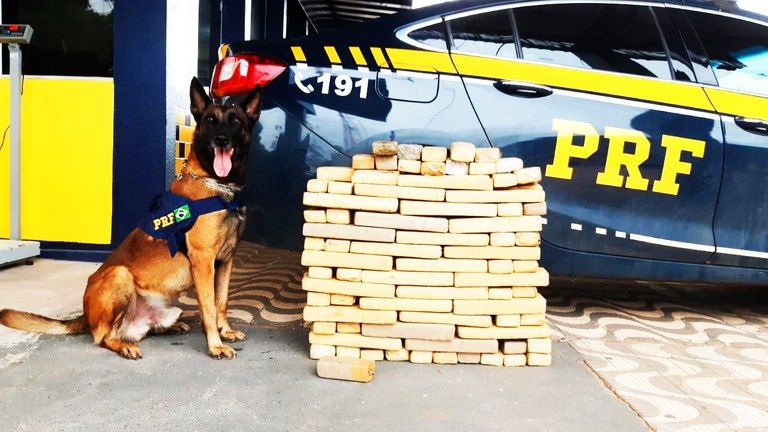 Foto: divulgação PRF/MT