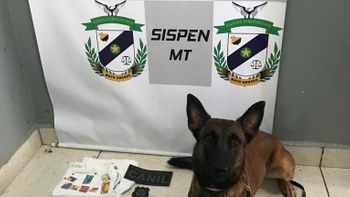 Foto: divulgação Sistema Penitenciário/MT