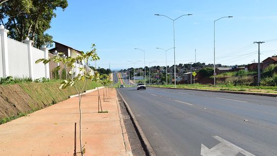 Imagem: Divulgação / Assessoria