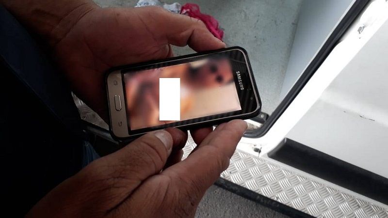 Reprodução