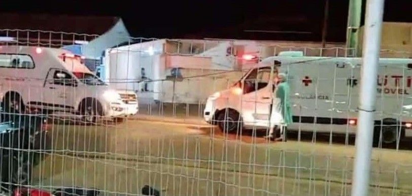 Reprodução