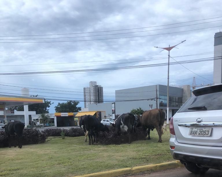 Arquivo Pessoal