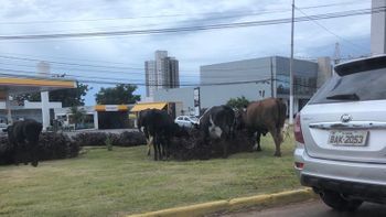 Arquivo Pessoal