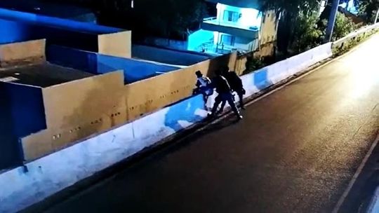 Reprodução