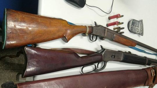 Polícia Militar Ambiental