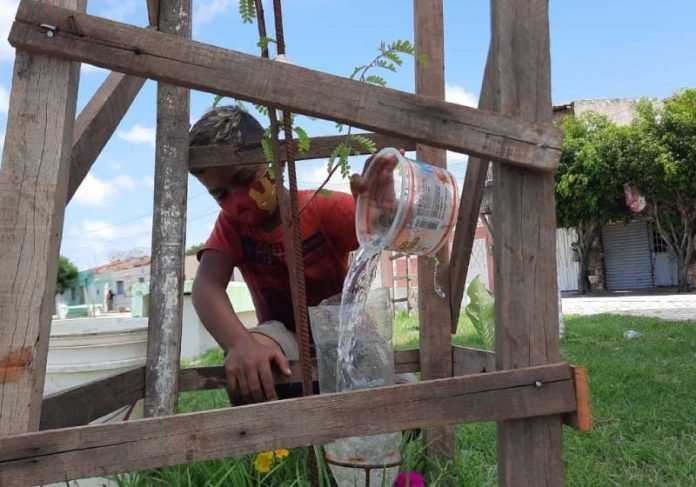 Emerson sonha em ver a cidade que mora mais arborizada. Ele plantou 30 árvores em um mês. - Foto: Wanderbeg Belém