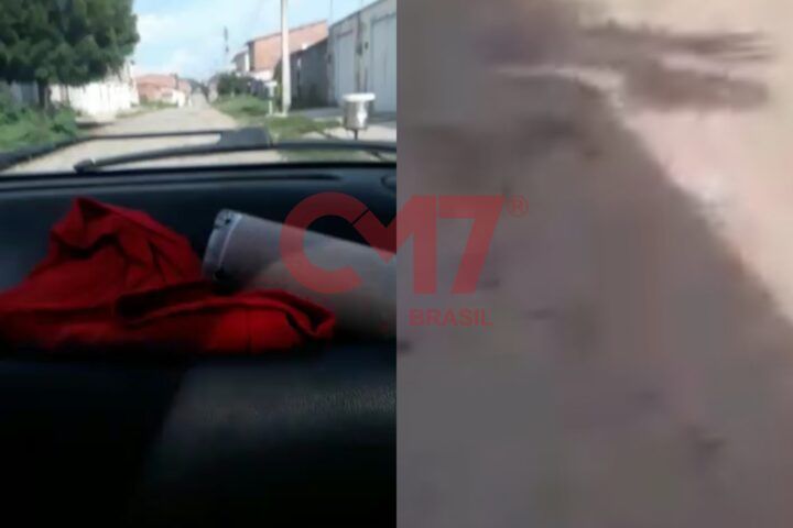 Reprodução