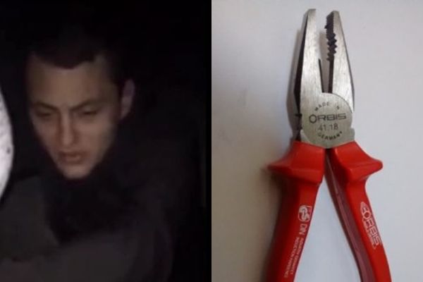 Reprodução