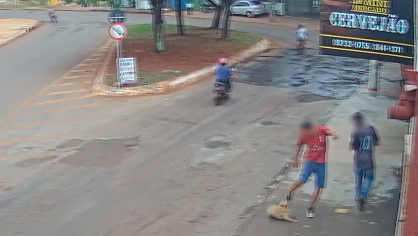 Momento em que o adolescente é gravado agredindo o animal. — Foto: Divulgação
