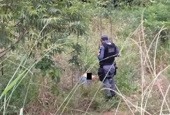 Tangará em Foco