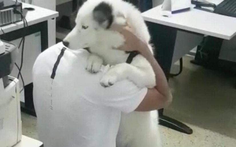Dono recebe cachorro que havia sido furtado em Goiânia, Goiás — Foto: Divulgação/Polícia Civil