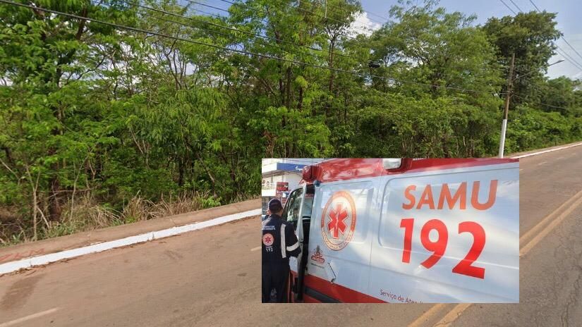 Reprodução
