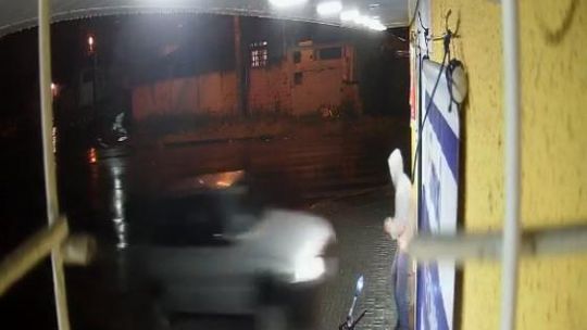 Reprodução