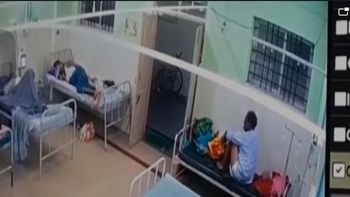 Reprodução