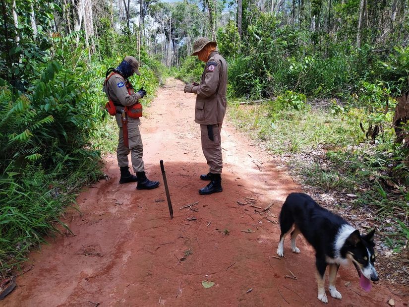 Polícia Civil