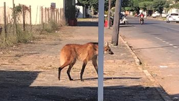 Arquivo pessoal