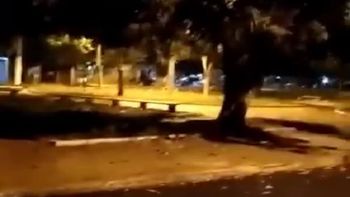 Reprodução/vídeo