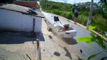 Reprodução/vídeo