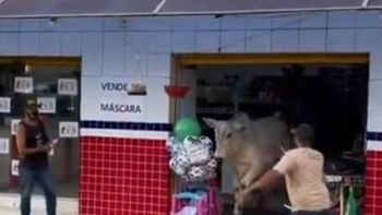 Reprodução/vídeo