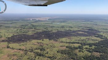 Fogo destruiu cerca de 2 km de mata — Foto: Tenente Thiago/CBM