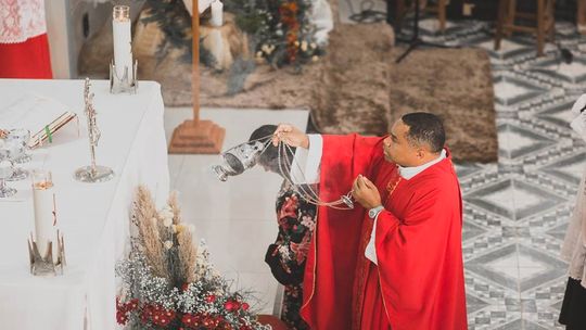 Reprodução