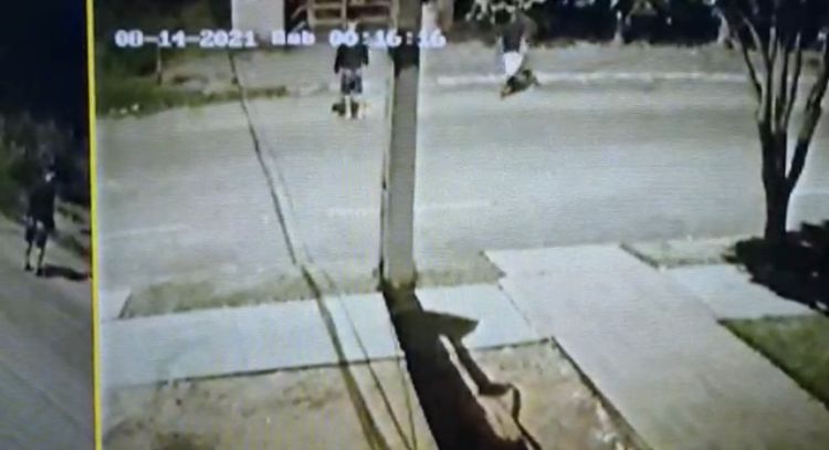 Reprodução/vídeo