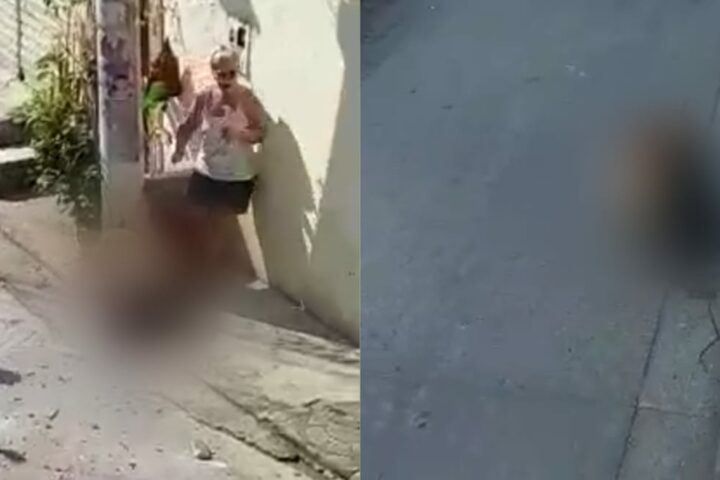 Reprodução