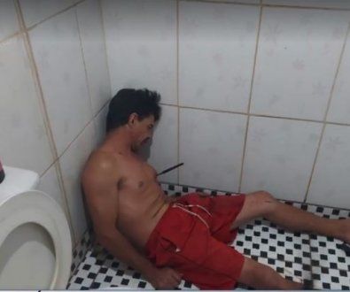 Reprodução