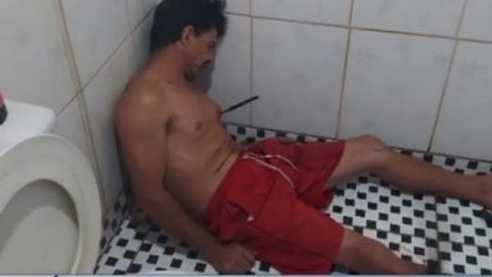 Reprodução