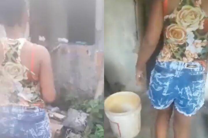 Reprodução