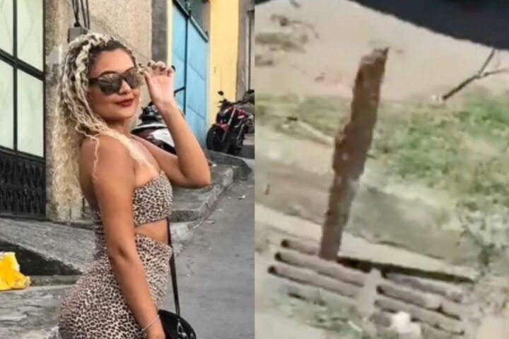 Reprodução