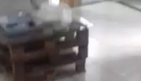 Reprodução
