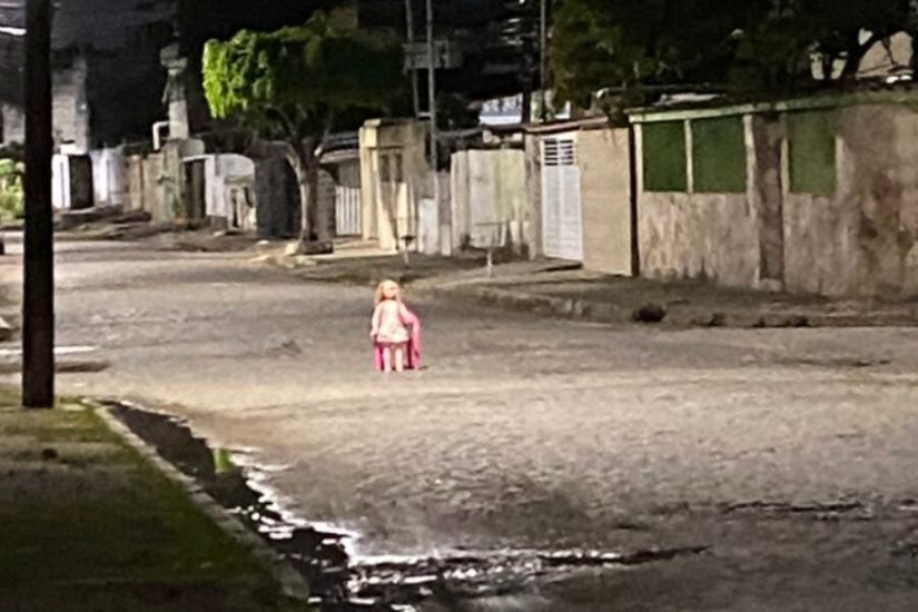 Reprodução