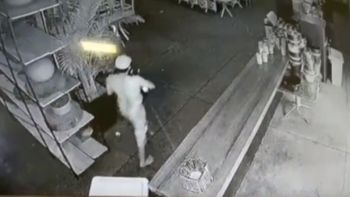 Reprodução/vídeo