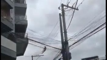 Reprodução/vídeo