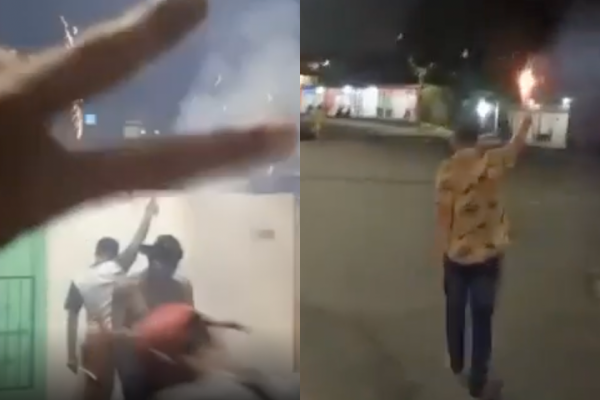 Reprodução