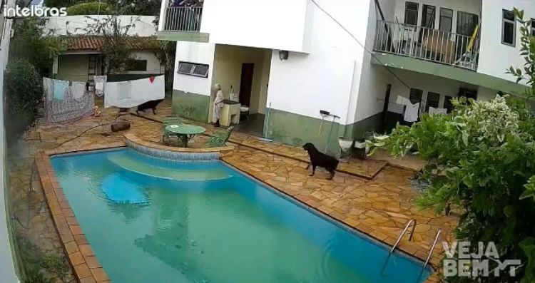 Reprodução