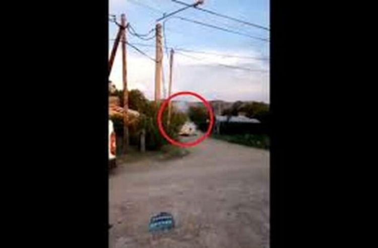 Reprodução/vídeo
